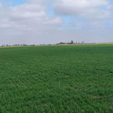 На Вінниччині державі повернули землю з археологічною пам’яткою