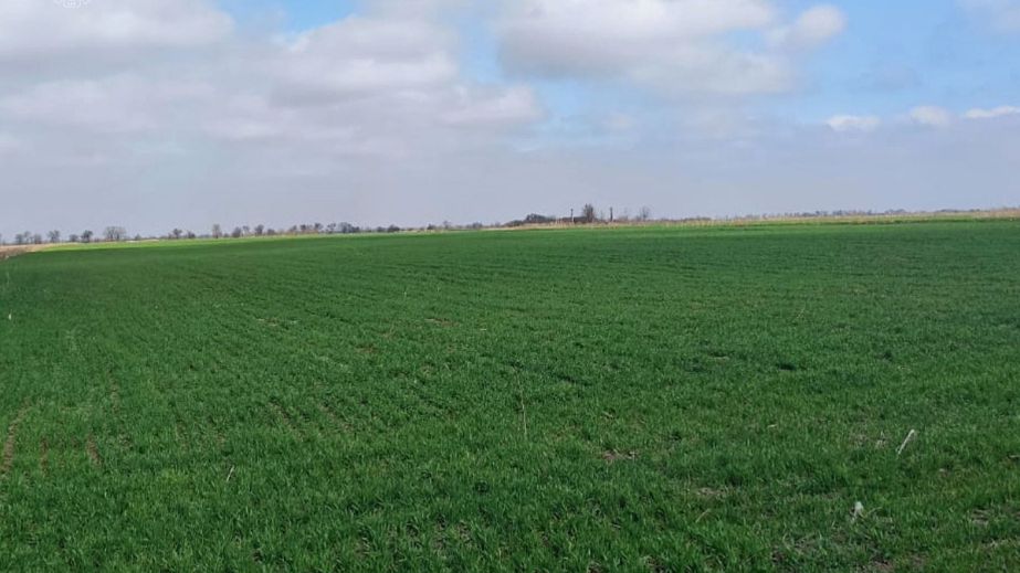 На Вінниччині державі повернули землю з археологічною пам’яткою