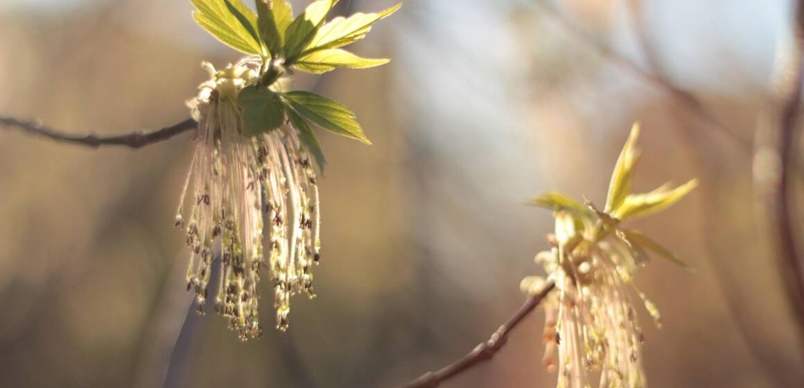 Гороскоп на 13 квітня: день спостережень і важливих висновків для всіх знаків зодіаку