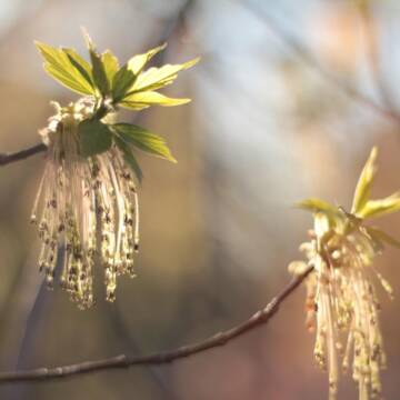 Гороскоп на 13 квітня: день спостережень і важливих висновків для всіх знаків зодіаку