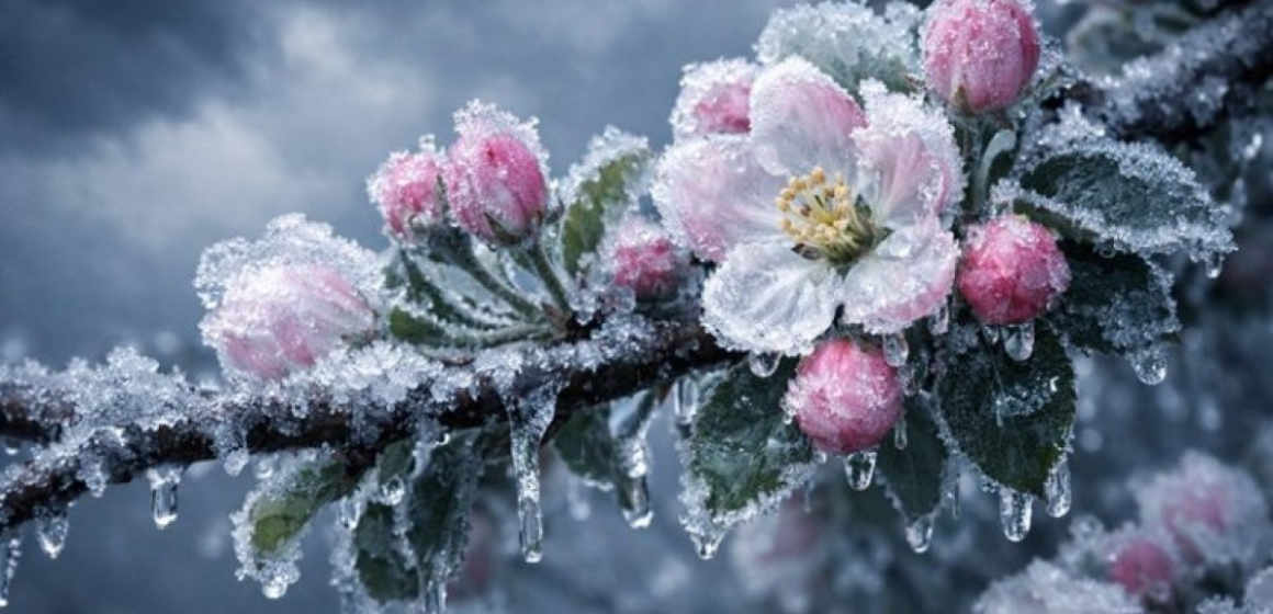 У Вінниці побито температурний рекорд 45-річної давнини