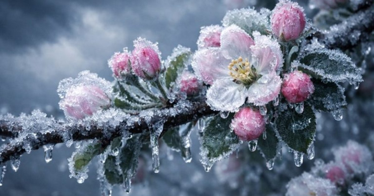 У Вінниці побито температурний рекорд 45-річної давнини