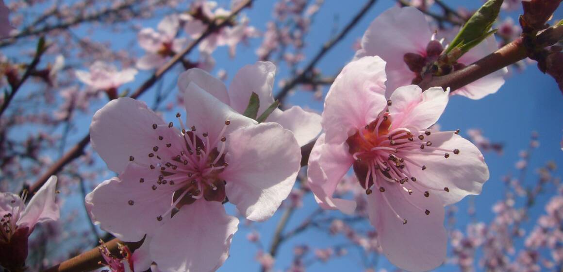 Гороскоп на 24 квітня: день можливостей, рішень і внутрішніх змін