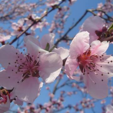 Гороскоп на 24 квітня: день можливостей, рішень і внутрішніх змін