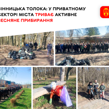 Від Кореї до Пирогового: як вінничани гуртом прибирають місто до свят
