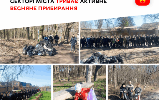 Від Кореї до Пирогового: як вінничани гуртом прибирають місто до свят