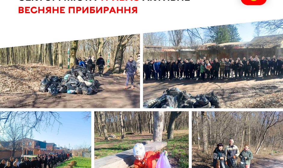 Від Кореї до Пирогового: як вінничани гуртом прибирають місто до свят