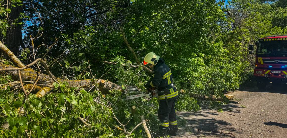 У чотирьох громадах Вінниччини надзвичайники розчищали автошляхи від повалених дерев