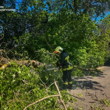 25 У чотирьох громадах Вінниччини надзвичайники розчищали автошляхи від повалених дерев