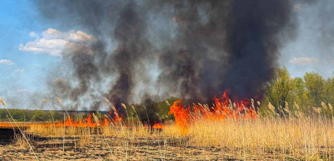 26 пожеж за добу: на Вінниччині вогонь знищив 14 гектарів екосистем