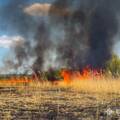 26 пожеж за добу: на Вінниччині вогонь знищив 14 гектарів екосистем