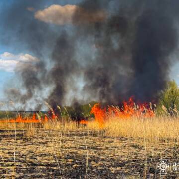 26 пожеж за добу: на Вінниччині вогонь знищив 14 гектарів екосистем