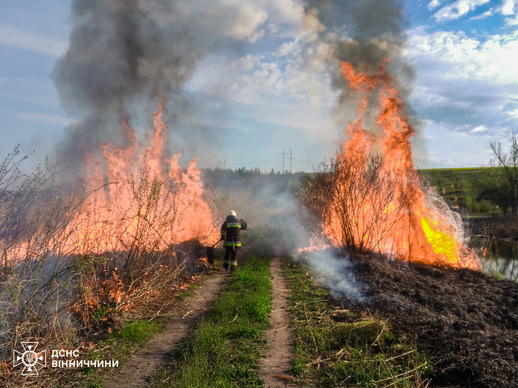 19 пожеж і понад 3 гектари вигорілої землі: наслідки людської недбалості