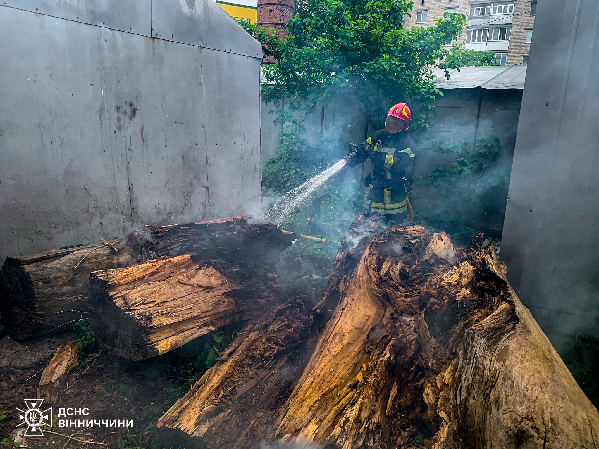 Через людську недбалість на Вінниччині щодня горять екосистеми: від початку року зафіксовано 566 пожеж