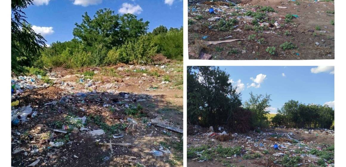 На Вінниччині після перевірки екологів прибирають стихійні сміттєзвалища