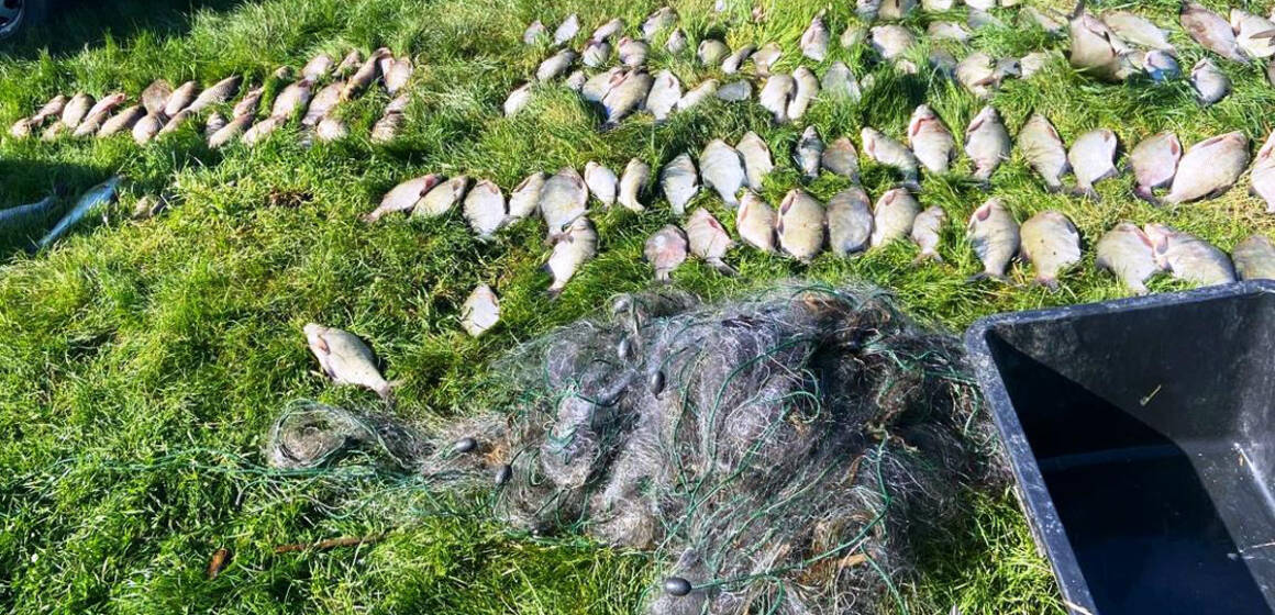 На Вінниччині браконьєр наловив сітками риби на 200 тисяч гривень збитків