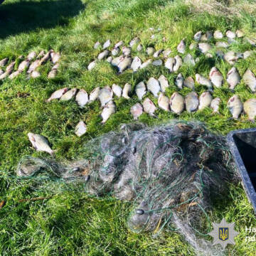 На Вінниччині браконьєр наловив сітками риби на 200 тисяч гривень збитків