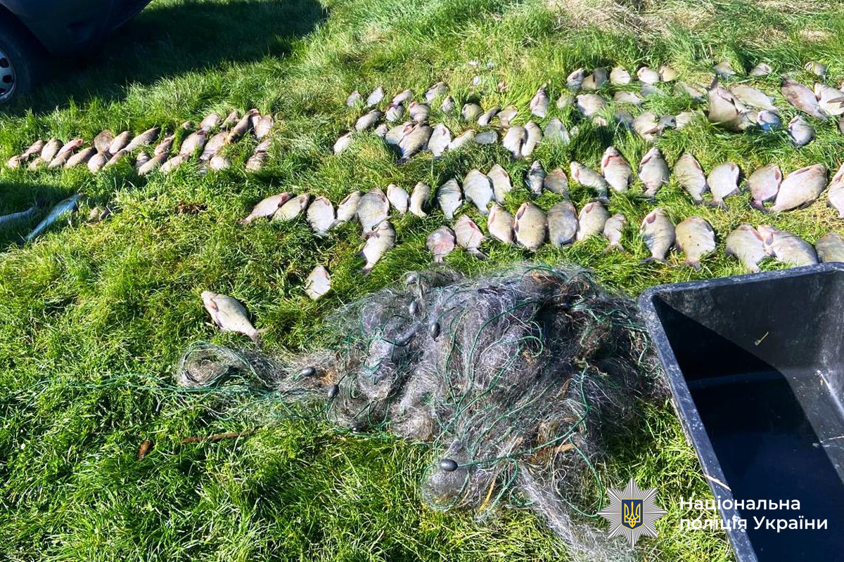 На Вінниччині браконьєр наловив сітками риби на 200 тисяч гривень збитків