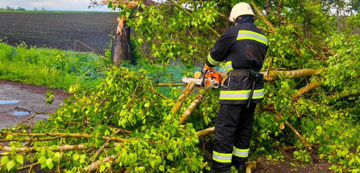 На Вінниччині негода спричинила перекриття доріг поваленими деревами