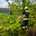 На Вінниччині негода спричинила перекриття доріг поваленими деревами