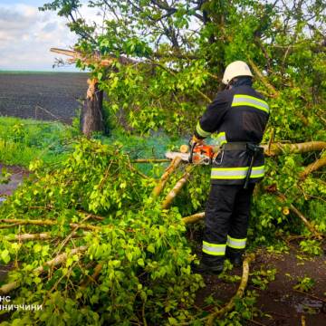 На Вінниччині негода спричинила перекриття доріг поваленими деревами