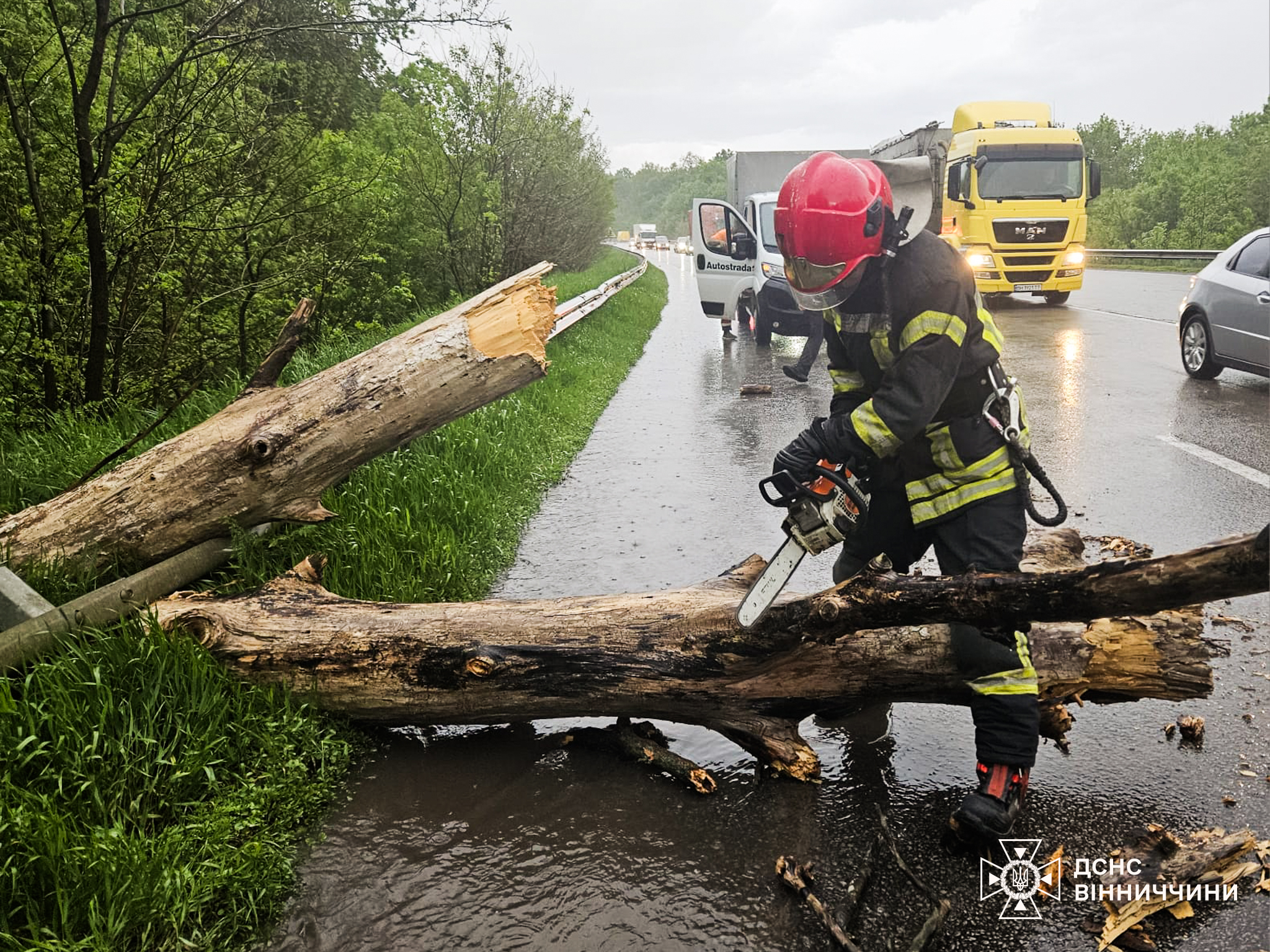 Падіння дерев та затоплені подвір’я: рятувальники ліквідували наслідки негоди на Вінниччині