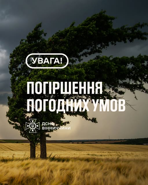 Обережно, штормовий вітер: на Вінниччині оголосили жовтий рівень небезпеки