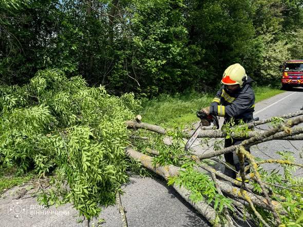 Негода блокує траси на Вінниччині: майже 80 надзвичайників розчищають автошляхи від наслідків вітру