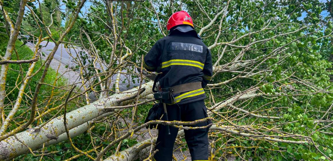 На Вінниччині рятувальники звільняли дороги від повалених дерев