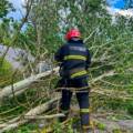 На Вінниччині рятувальники звільняли дороги від повалених дерев