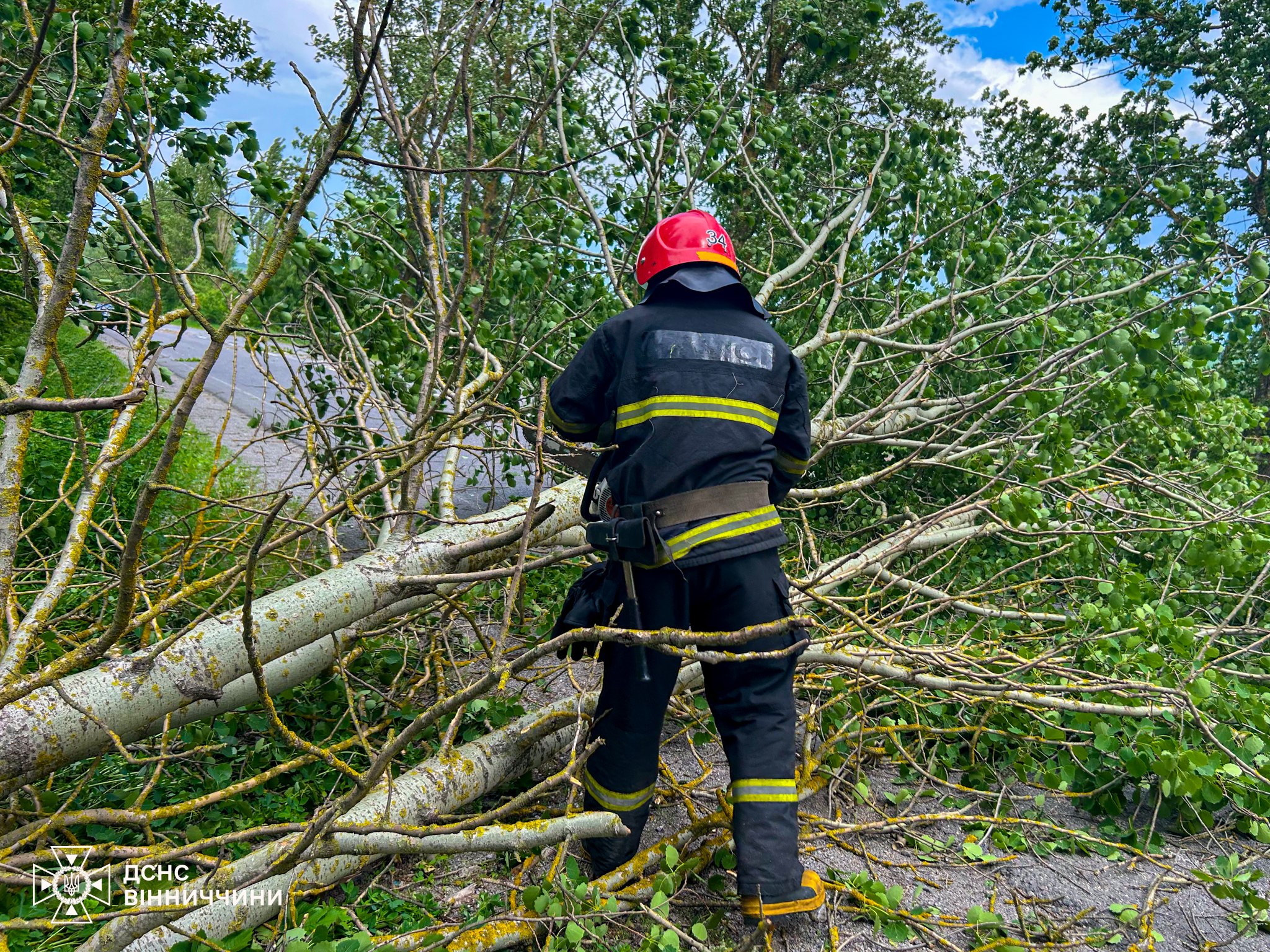 На Вінниччині рятувальники звільняли дороги від повалених дерев