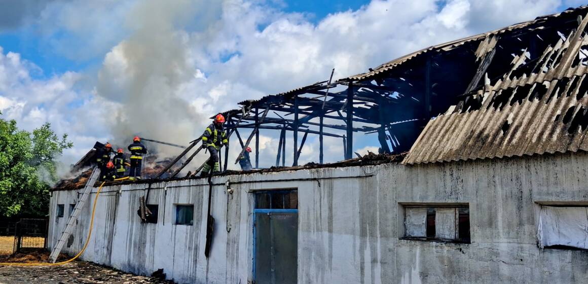 На Вінниччині за добу ліквідували 4 пожежі та врятували тварин із палаючої ферми