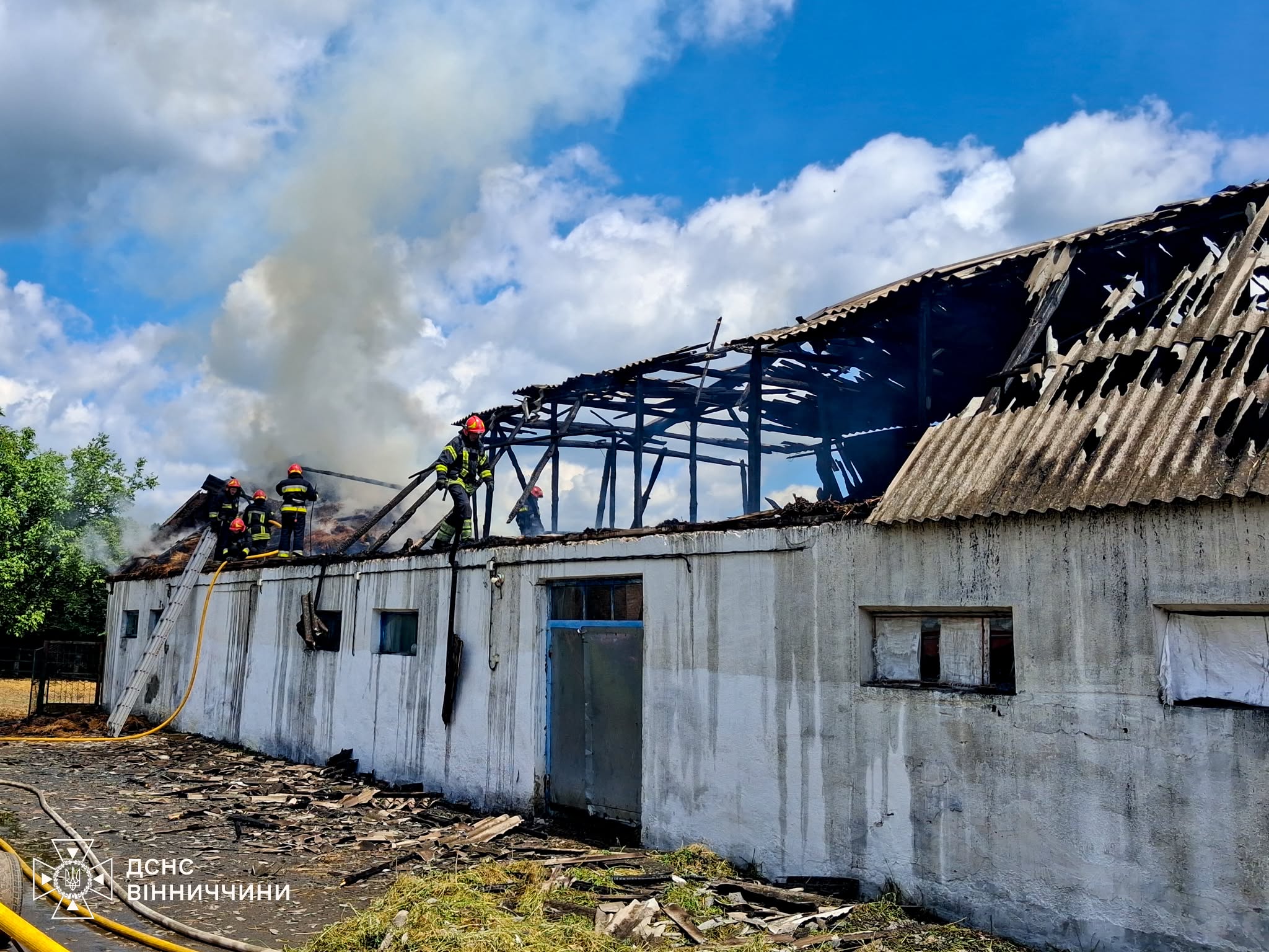 На Вінниччині за добу ліквідували 4 пожежі та врятували тварин із палаючої ферми