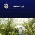 12 років за ґратами: суд виніс вирок водієві, який намагався вбити жінку, протаранивши її авто на Гайсинщині