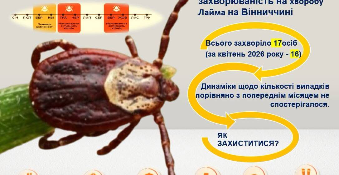 Сезон кліщів у розпалі: у травні на Вінниччині суттєво зросла кількість випадків хвороби Лайма