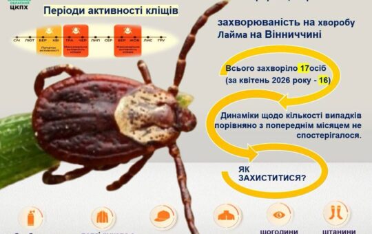 Сезон кліщів у розпалі: у травні на Вінниччині суттєво зросла кількість випадків хвороби Лайма
