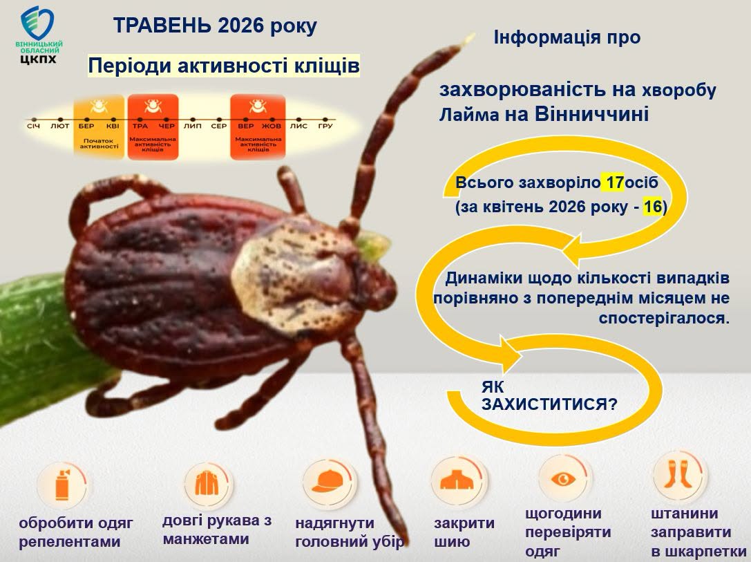 Сезон кліщів у розпалі: у травні на Вінниччині суттєво зросла кількість випадків хвороби Лайма