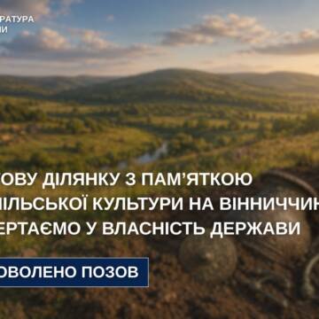 Державі повернуть 4,4 га земель із пам’яткою Трипільської культури на Вінниччині