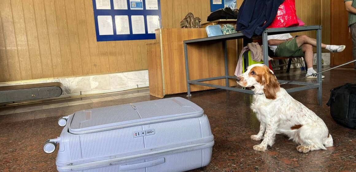 Службова собака вінницьких митників знайшла наркотики у валізі іноземця