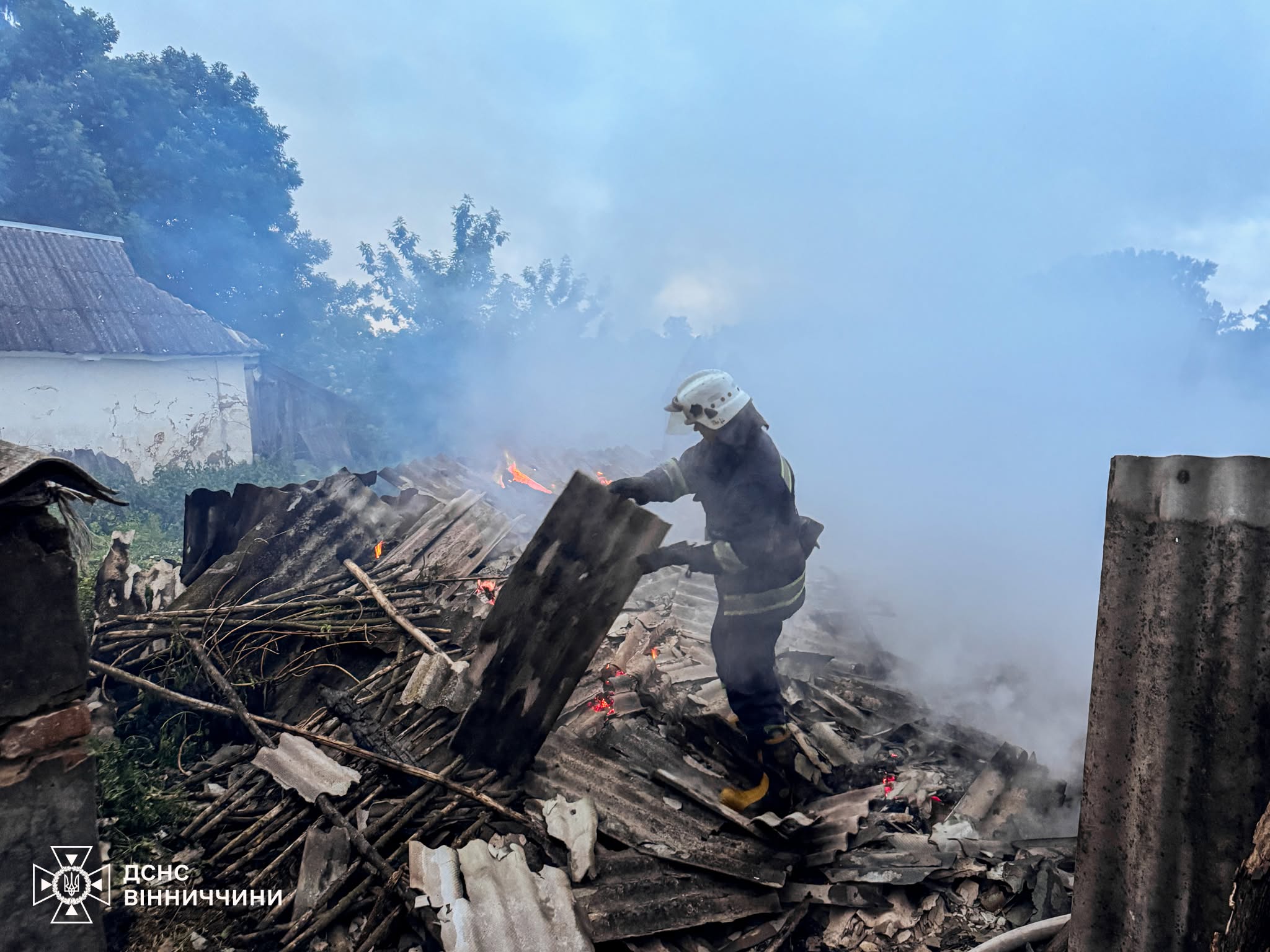 На Вінниччині через пожежу в господарській споруді загинули корова та теля