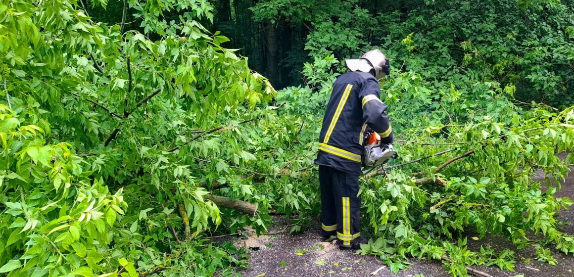 На Вінниччині рятувальники продовжують ліквідовувати наслідки негоди