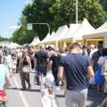 Ярмарковий бум на Вишенці: фермерський ринок у Вінниці відвідали 22 тисячі людей та розкупили 70 тонн продуктів