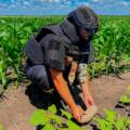 На Вінниччині сапери знищили артснаряд часів Другої світової війни