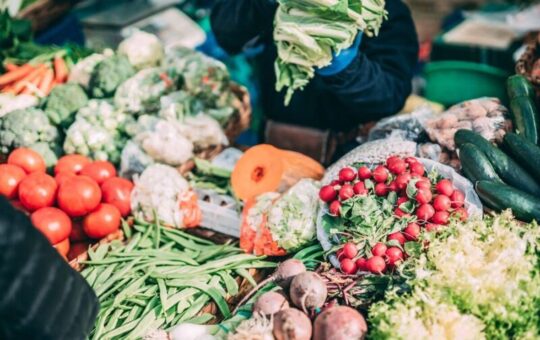 Свіжі сири, мясо та овочі від фермерів: у Вінниці на вихідних пройде ярмарок