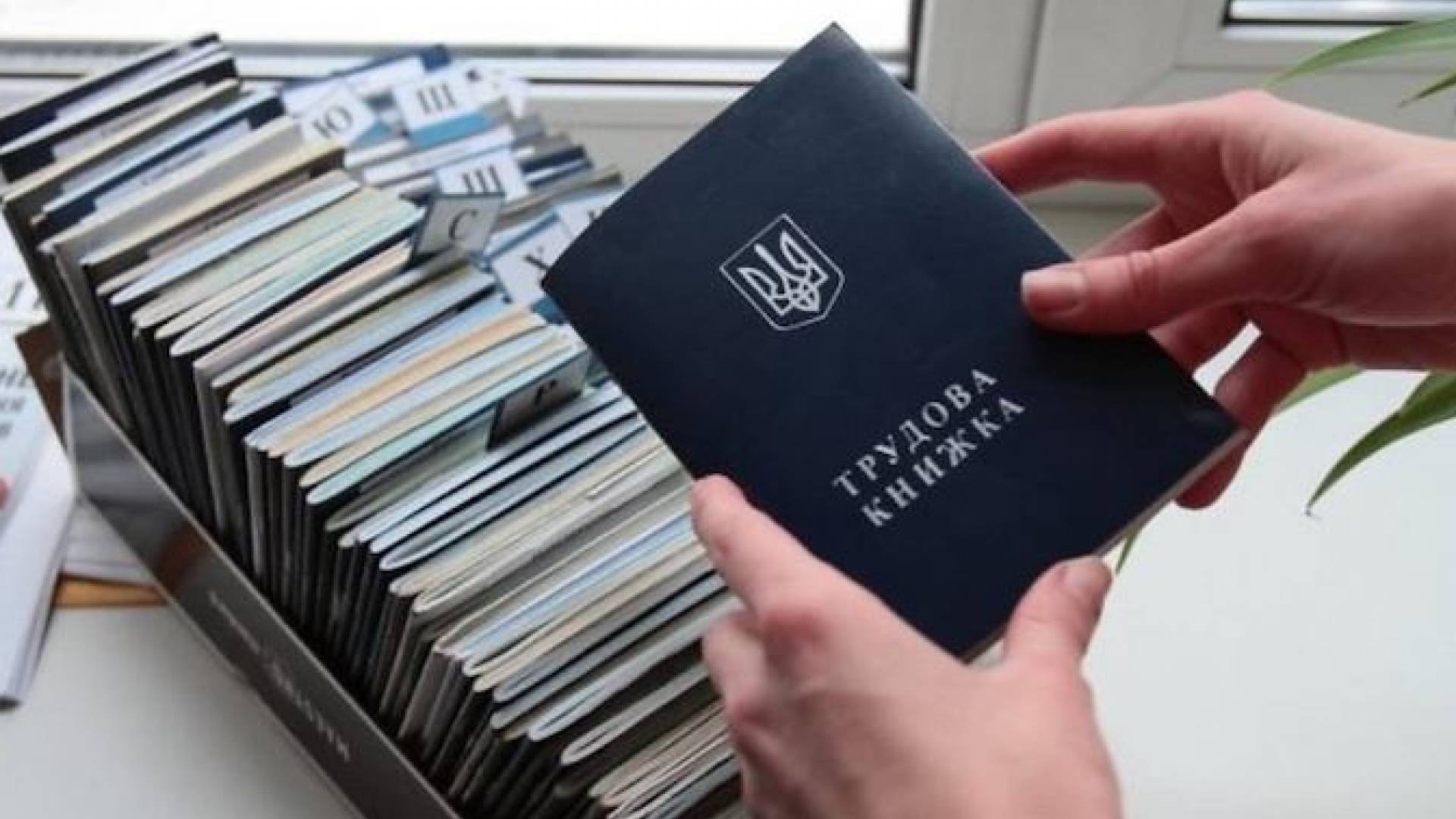 Оцифрування трудових завершується 10 червня: чи передбачені штрафи і що з трудовим стажем