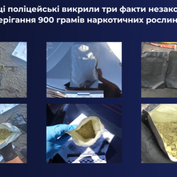 «Наркочай» у посилці та пакунки біля ТЦ: у Вінниці за вихідні поліція вилучила майже кілограм наркотиків