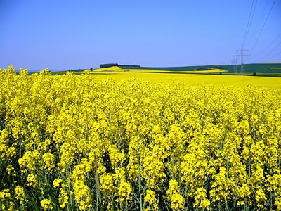 Мінлива хмарність та до 21° тепла: погода у Вінниці та області на 1 червня