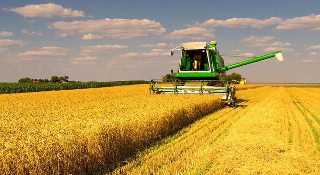 Понад 3,5 млрд грн пільгових кредитів: аграрії Вінниччини розпочали жнива