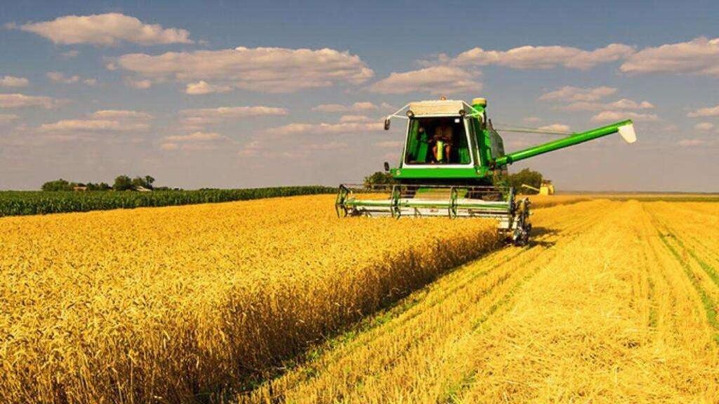 Понад 3,5 млрд грн пільгових кредитів: аграрії Вінниччини розпочали жнива