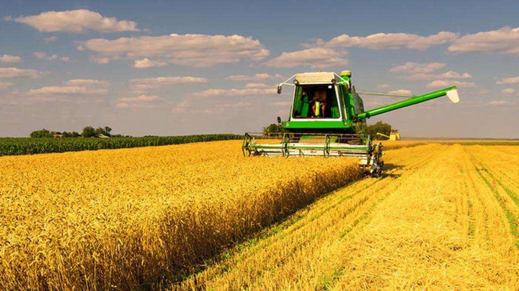 Понад 3,5 млрд грн пільгових кредитів: аграрії Вінниччини розпочали жнива